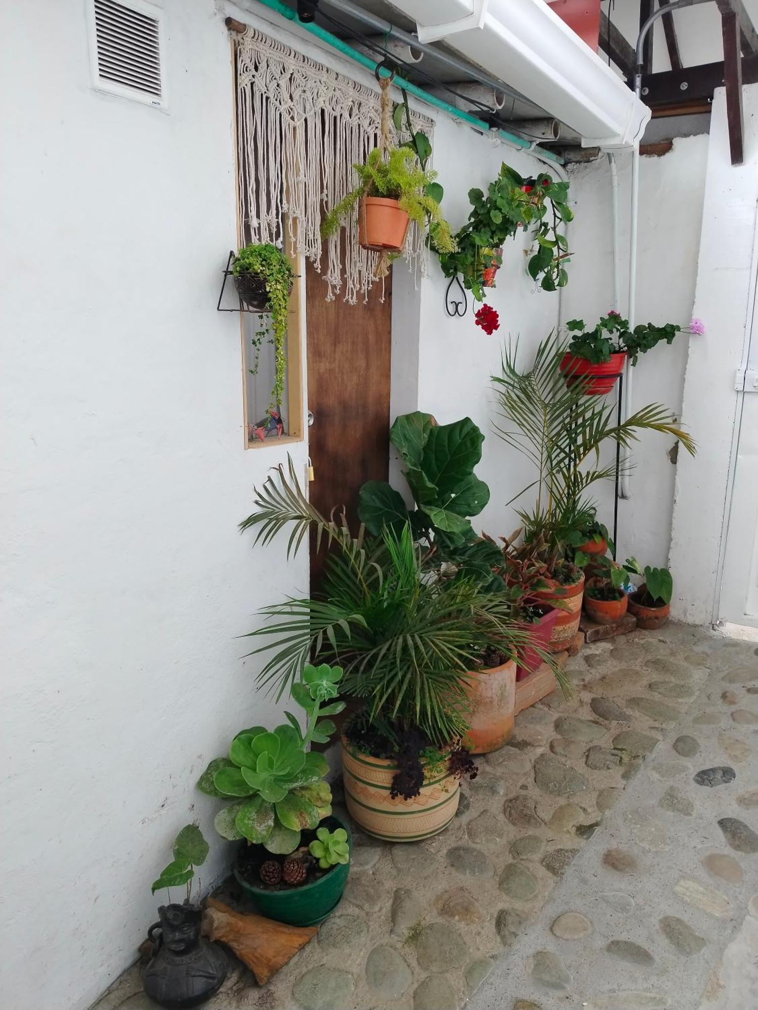 Apartaestudios La Baranda Salento Esterno foto